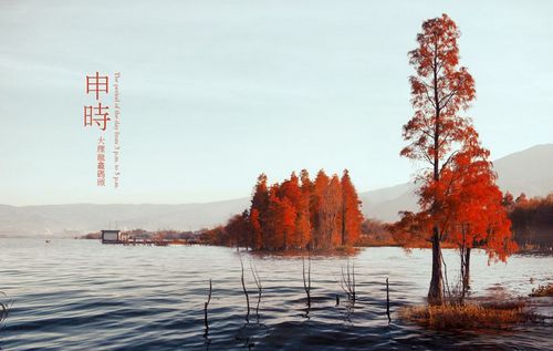 有福气的孩子几点出生最好,几点出生的宝宝有福气