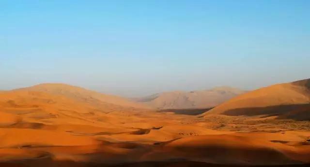 宁夏青铜峡蟹田米，养生之“稻”送给最亲爱的人