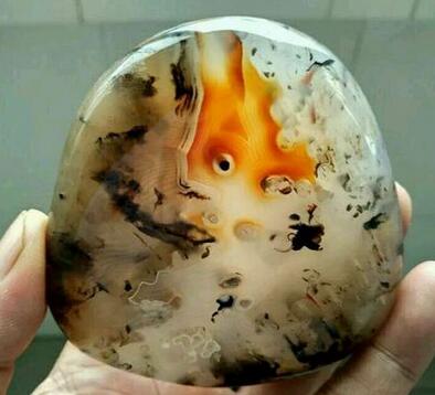 海洋玉髓越来越受欢迎,精华海洋玉髓