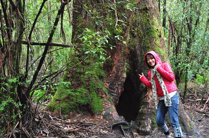 艾思塔的快乐圈—美丽慵懒的澳洲自驾（清新欢快、不能不看哟！直升机、热气球初体验）