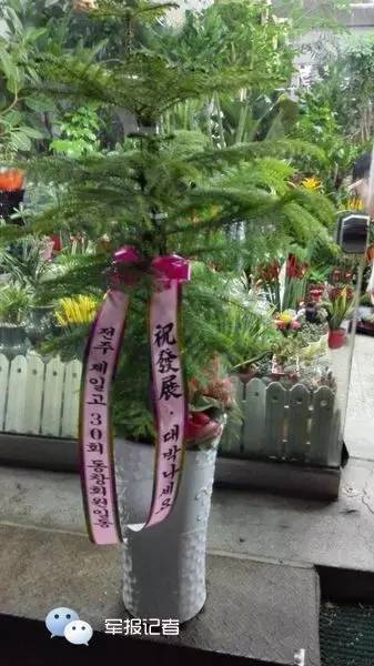 见闻记录生活,见闻翻译成古文有多惊艳