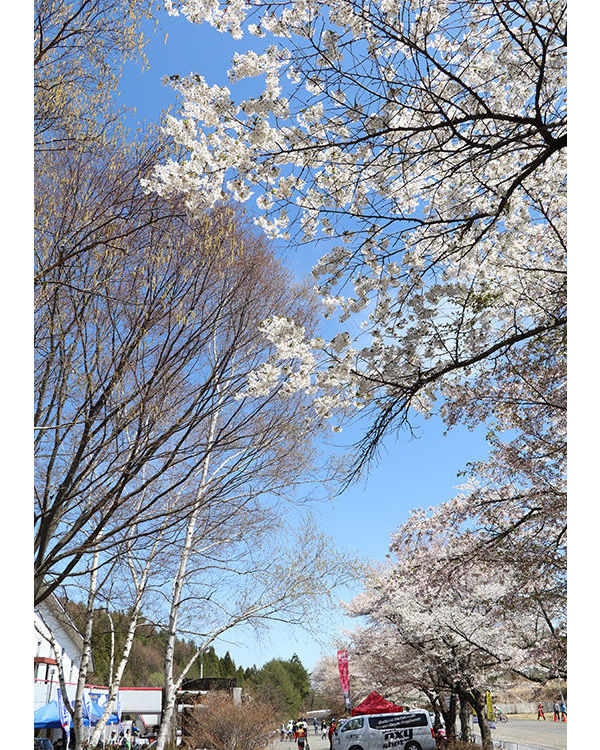 佳能高像素版eos,佳能eos80d怎么拍摄出高清的视频