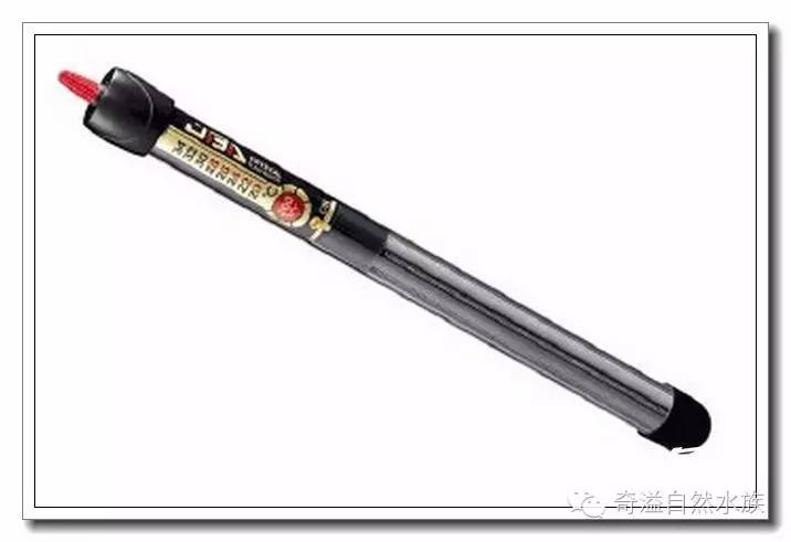 水族新手养鱼攻略,鱼缸养鱼攻略新手必备