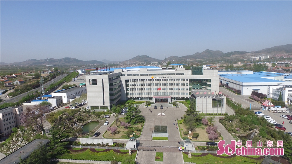 山东鲁阳保温材料有限公司,内蒙古鲁阳节能材料股份有限公司