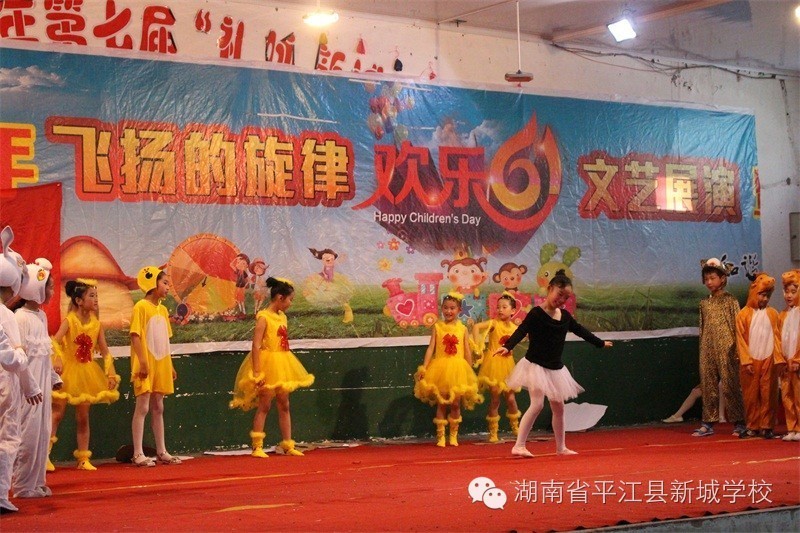 用心耕耘静待花开教师演讲稿,静待花开教师心得