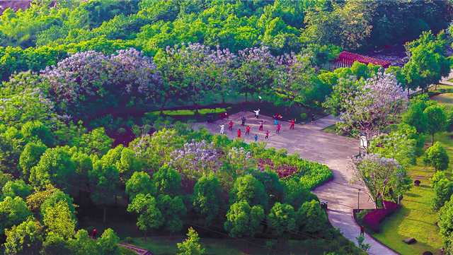 重庆九龙坡区宜居吗,重庆九龙坡生态文明建设