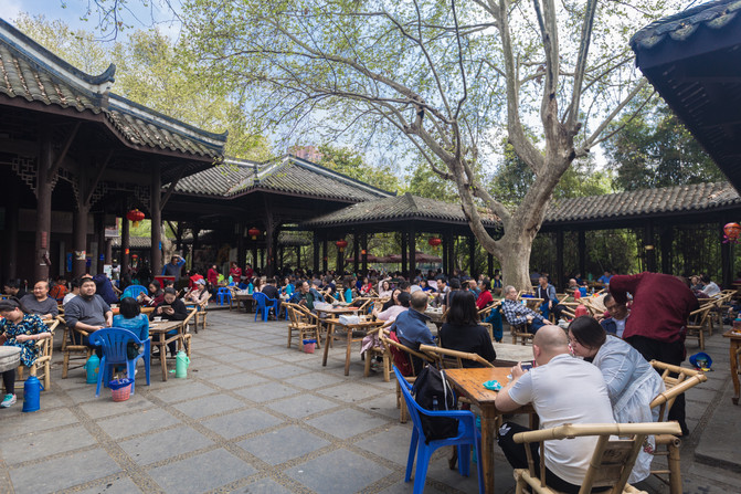 初来乍到1到6,从早到晚怎么逛成都