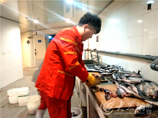 烟台：驯养师与海狮伙伴“贝克”的故事