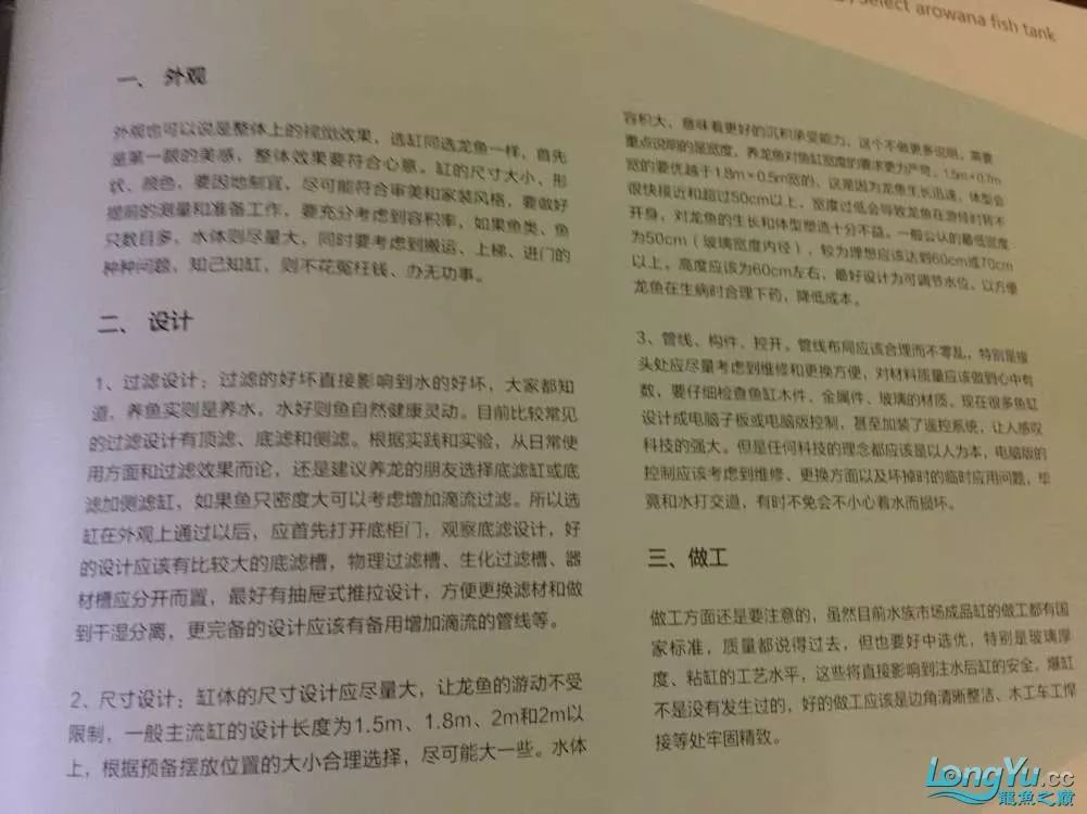 一招教你选龙鱼,龙鱼饲养经验交流