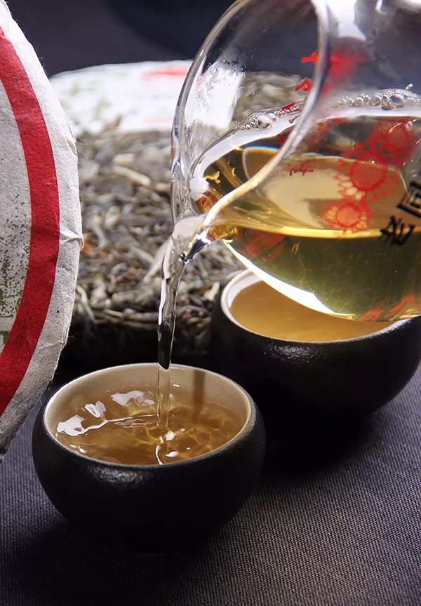 老同志9928普洱生茶2010年,2016老同志秋霜普洱生茶怎么样