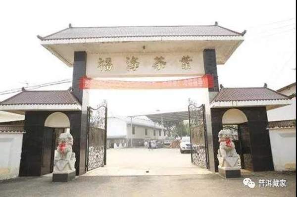 普洱茶99绿星星,易武99绿星星