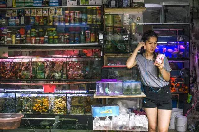 珠海的莲花路,珠海以前的莲花路