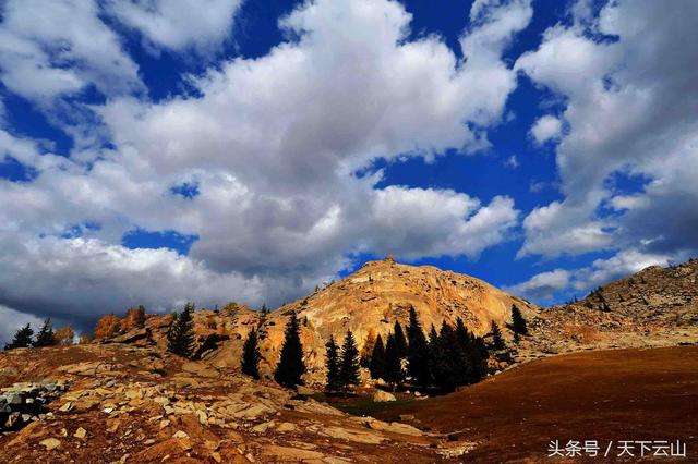 人间仙境可可托海纪行（文/冯忠文）