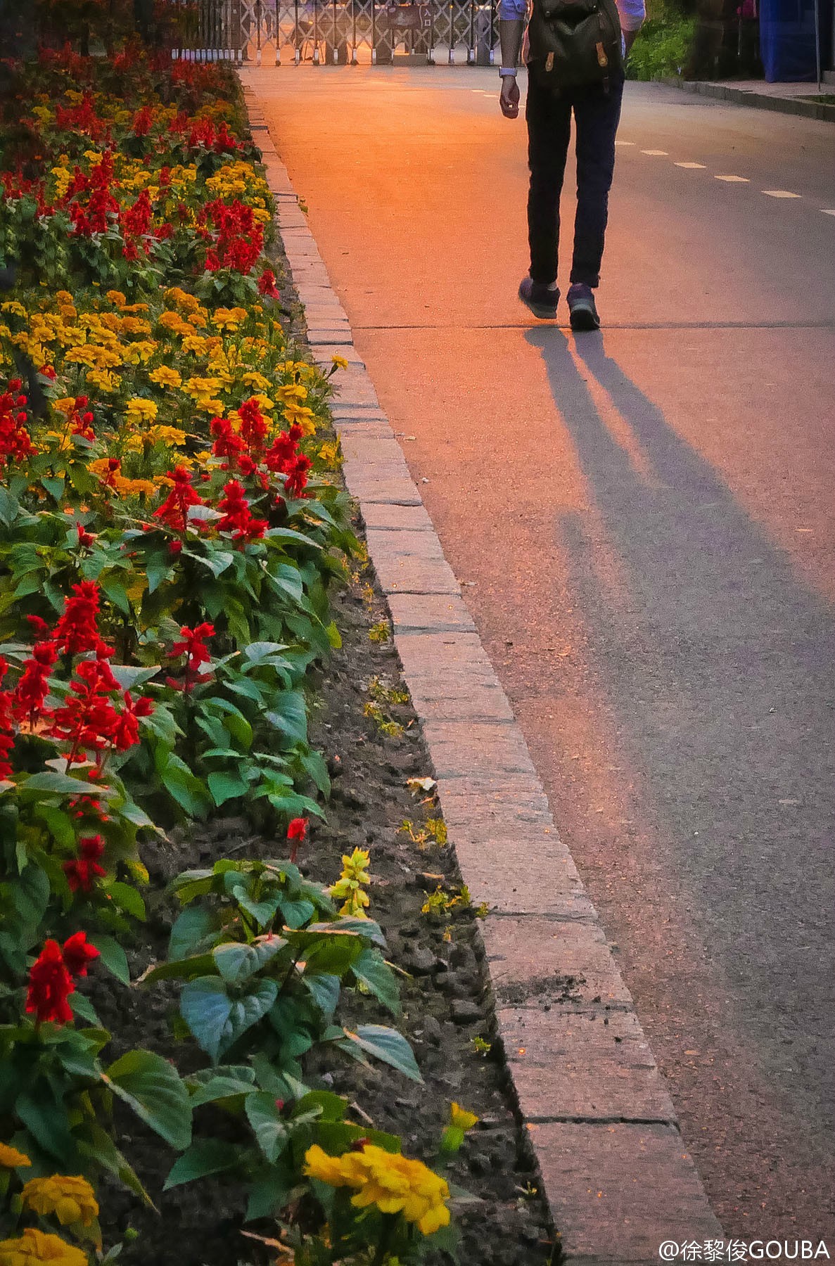 字幕君夸张图片,字幕君制作教学