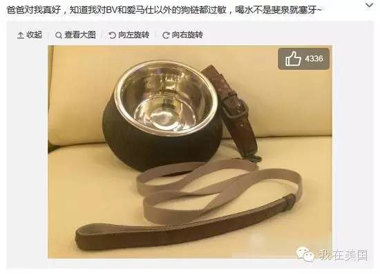 王思聪自曝女友为其堕胎又火了,但外媒只关心老公最宠的那个网红