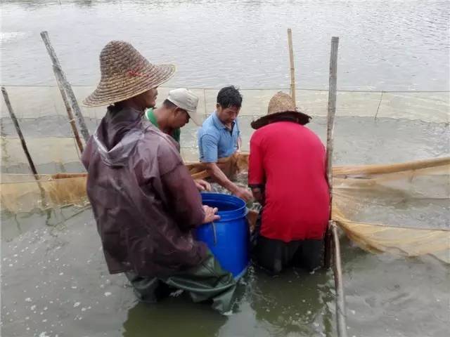 从种苗到流通，海大欲建价值链优势雄霸惠州市场