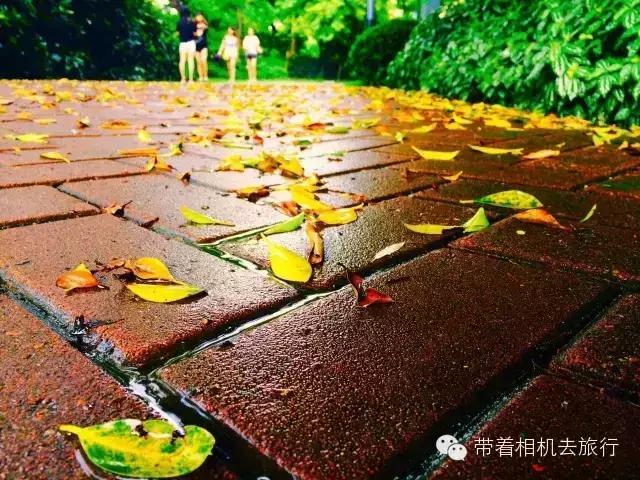 天气好蓝天白云拍摄地,天空好蓝怎么拍