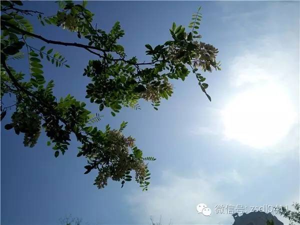 大连小众海边滨海路,大连最美海滨路在哪