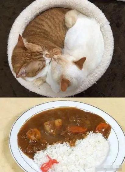 实况足球2016一球成名修改,2016欧洲杯夺冠历程