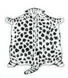 趣说猫历史|原来所有猫咪中性格最好的是你呀！