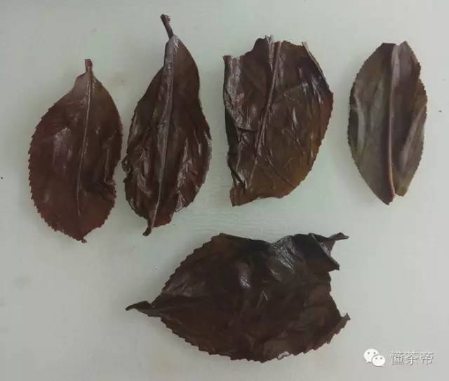 老挝古树茶价格表,老挝古树茶属于什么档次的茶叶