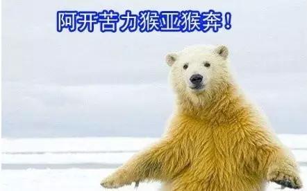 实况足球2016一球成名修改,2016欧洲杯夺冠历程