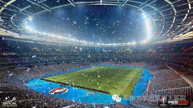 欧洲杯今日焦点分享,欧洲杯来了话题