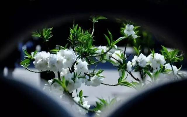 小龙虾最新检测,小龙虾抽检完整视频