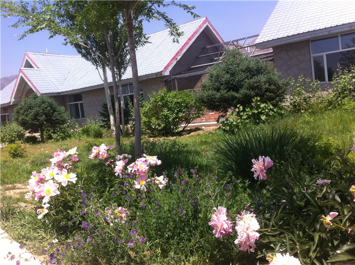 重回巴彦淖尔：八百里河套我用三天走过，十四年之痒我于一夕安放