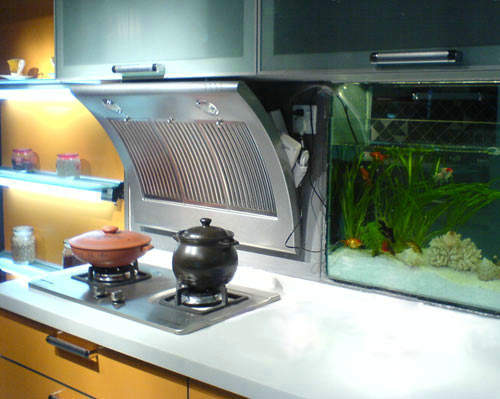 未装修的厨房装什么样的抽油烟机,厨房抽油烟机怎么装修美观