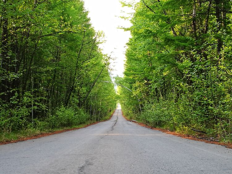 记忆深处的呼伦贝尔,记录呼伦贝尔美好时光