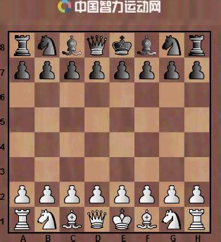 深蓝击败国际象棋高手卡斯帕罗夫,电脑深蓝打败国际象棋大师