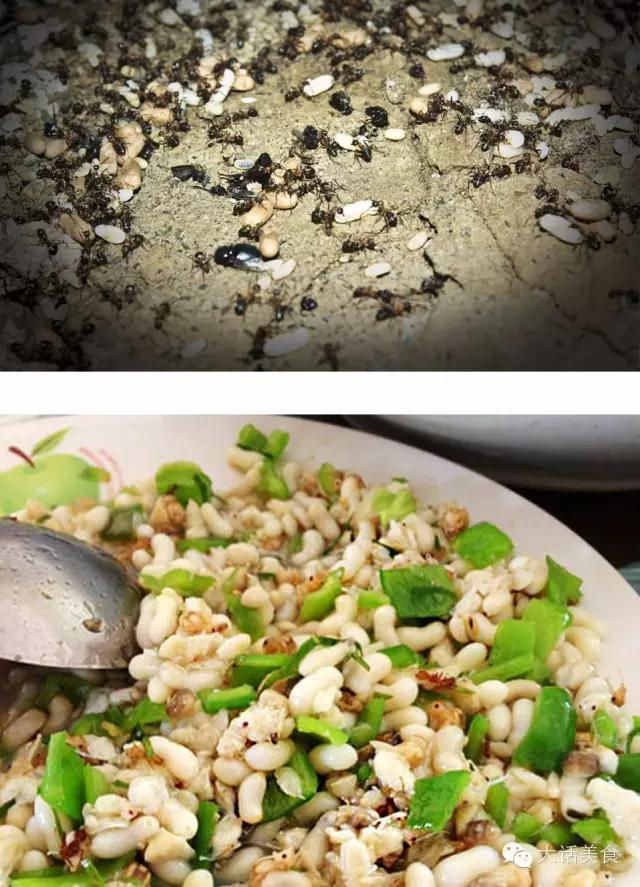 这50道美食你都吃过几种,盘点你看了馋又不敢吃的美食