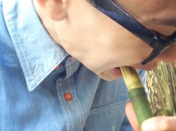 熊猫吃竹子为什么不用吐渣,熊猫吃竹子为什么不会割伤