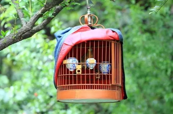 文玩江湖有几个老炮,文玩老玩家都玩的什么