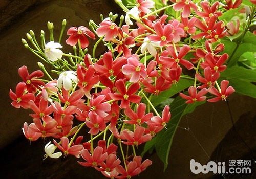 涨姿势10个最有创意的居家收纳,涨姿势这些食物竟然都能防脱发