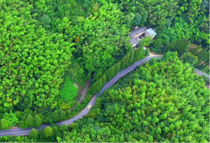 「纪检人·镜头」世界地球日：共同守护美好家园