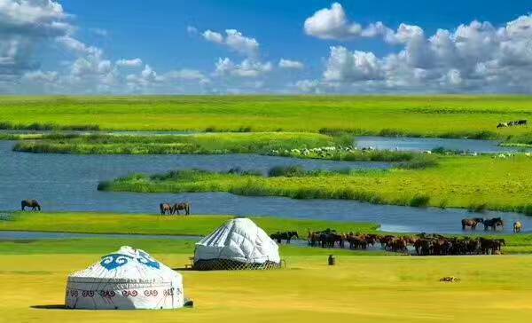 大武口呼伦贝尔风情园烤全羊团购,呼伦贝尔旅游必吃的十大特色美食