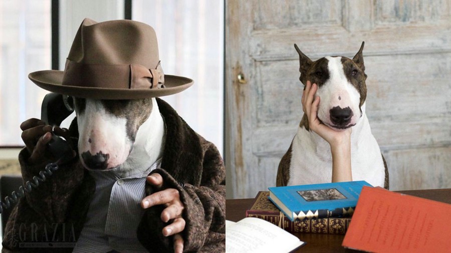 marcbymarcjacobs是什么牌子,marcjacobs意大利