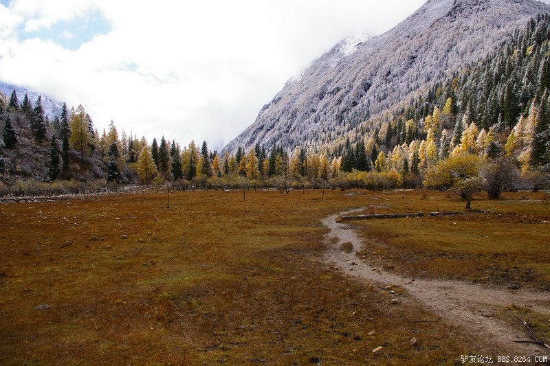 古道，细雨，暮雪-我的长坪沟半截秋色之旅