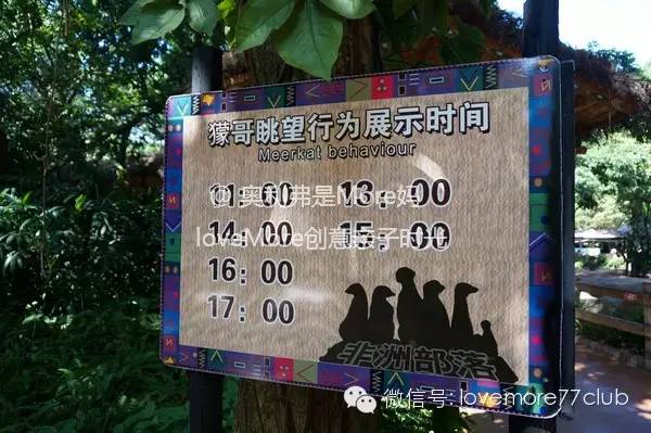 一日游广州长隆野生动物园攻略,广州长隆野生动物园自由行攻略