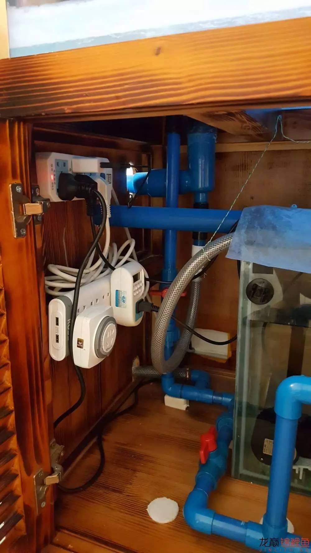 子母生态缸丨庭院深，深，深几许？