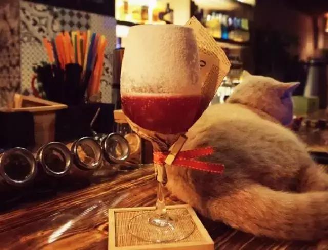 欧洲杯看球酒吧上海,欧洲杯厦门看球绝佳场所