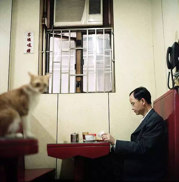 在香港茶餐厅点餐,在香港茶餐厅点什么最好吃