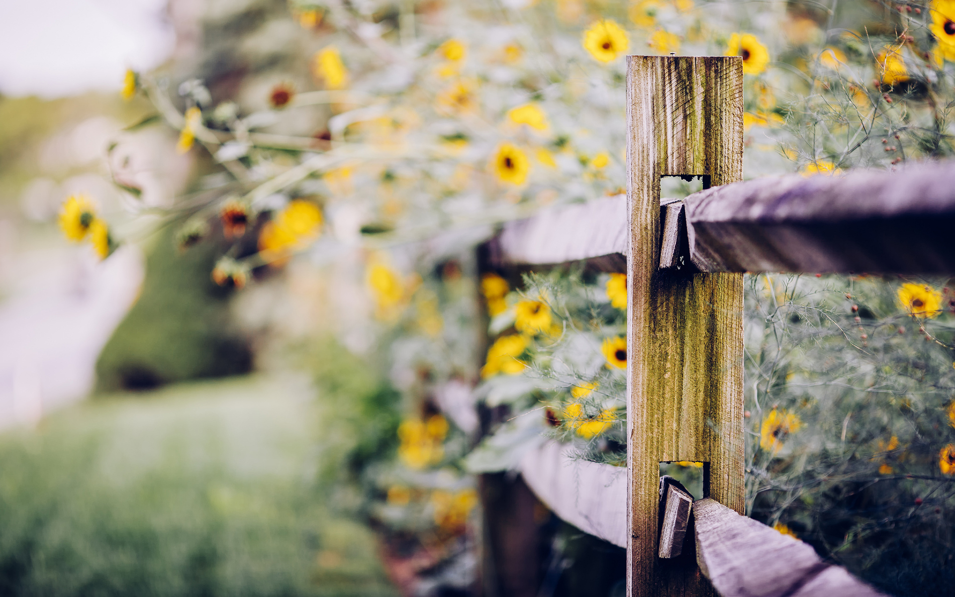 12生肖怎么样取名字，即有福气又有财气（一）