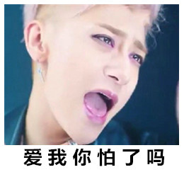 贾乃亮现在有新消息吗,贾乃亮有什么新消息