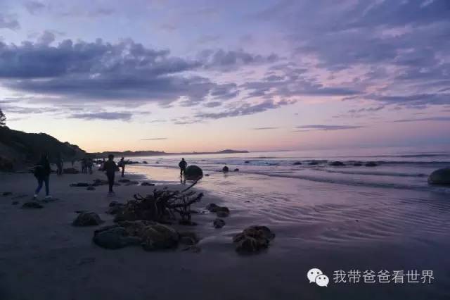 新西兰奇异圆石,摩拉基大圆石龟背形成原因