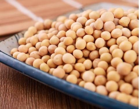 哪些食物具有丰胸的效果,生活中能丰胸的食物有哪些