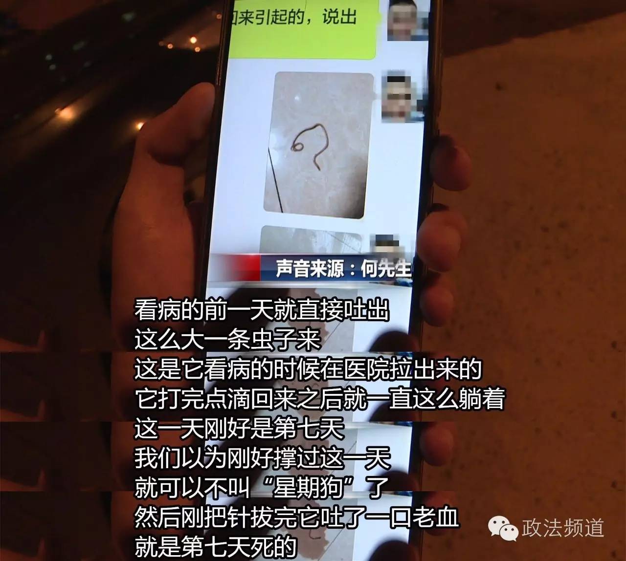 把狗买回家结果有病,购买宠物狗几天就死亡