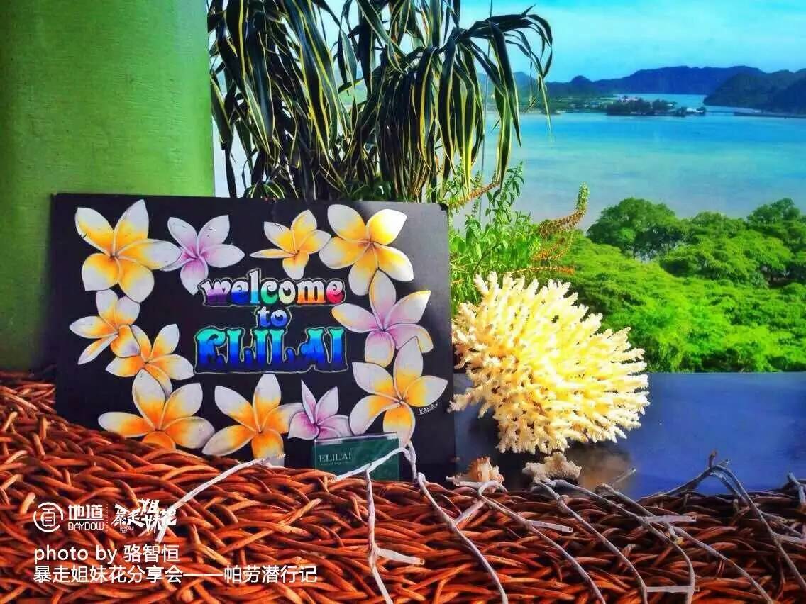 帕劳攻略,帕劳自由行全攻略